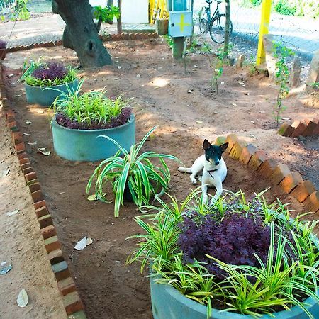 Eden Of Zen Hotel Auroville Luaran gambar