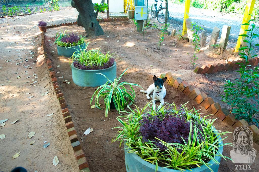 Eden Of Zen Hotel Auroville Luaran gambar