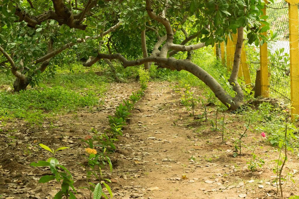 Eden Of Zen Hotel Auroville Luaran gambar