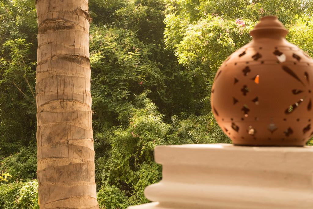 Eden Of Zen Hotel Auroville Luaran gambar