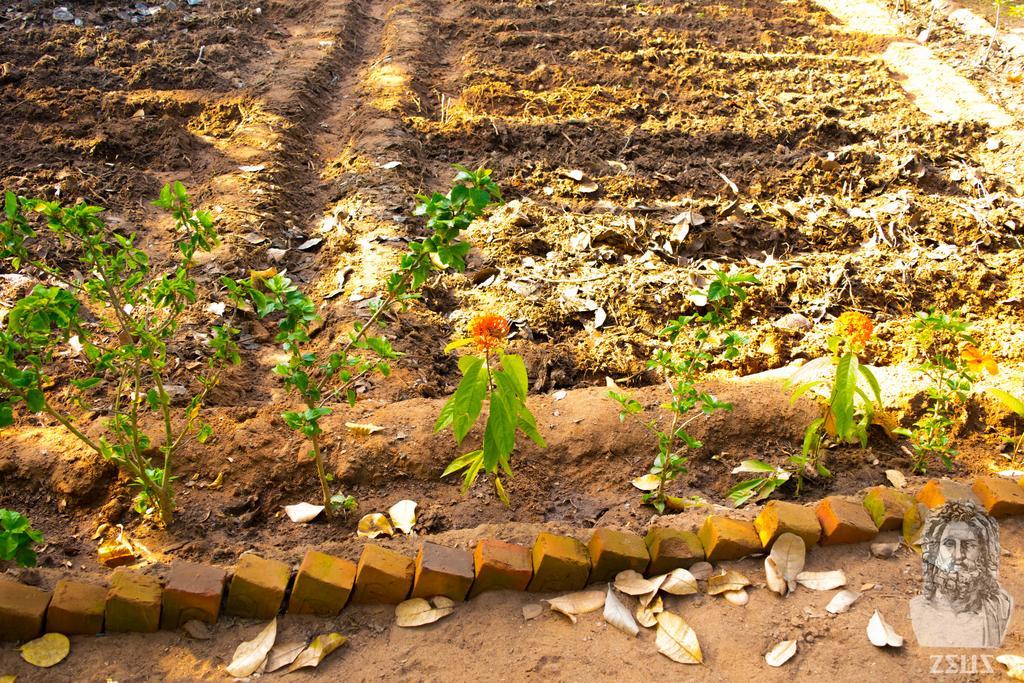 Eden Of Zen Hotel Auroville Luaran gambar